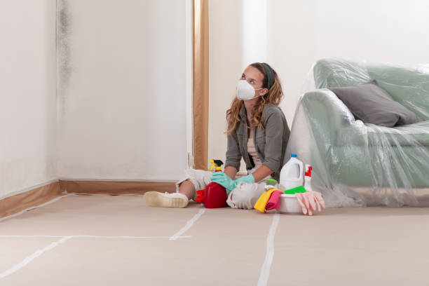 Reliable Mold Remediation contractor in Stow, MA by Car Mold Remediation